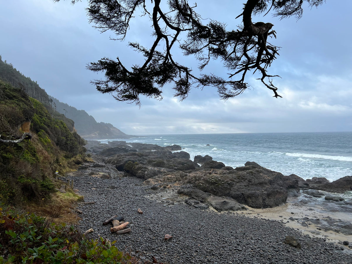 Coastal Oregon Experience