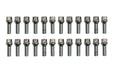 Van Compass 2007+ Mercedes Sprinter Tapered Lug Bolt Kit (24pk) - Silver