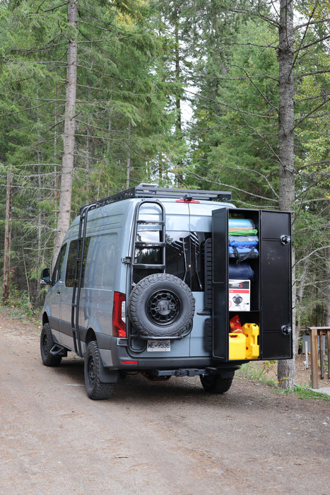 Sprinter two-in-one tire ladder carrier