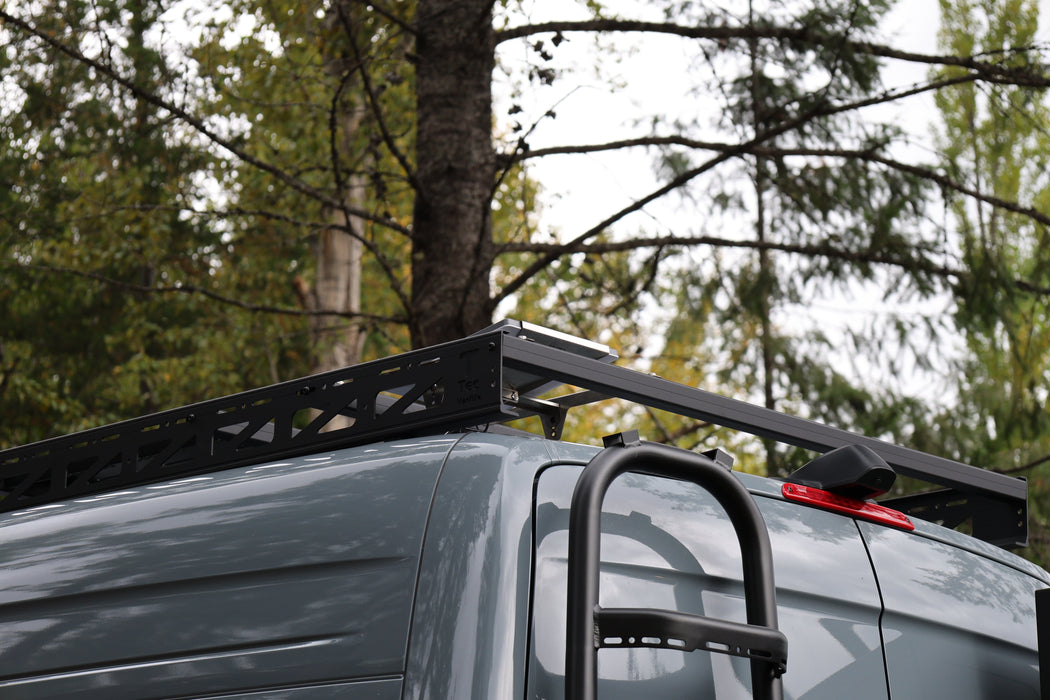 Sprinter two-in-one tire ladder carrier