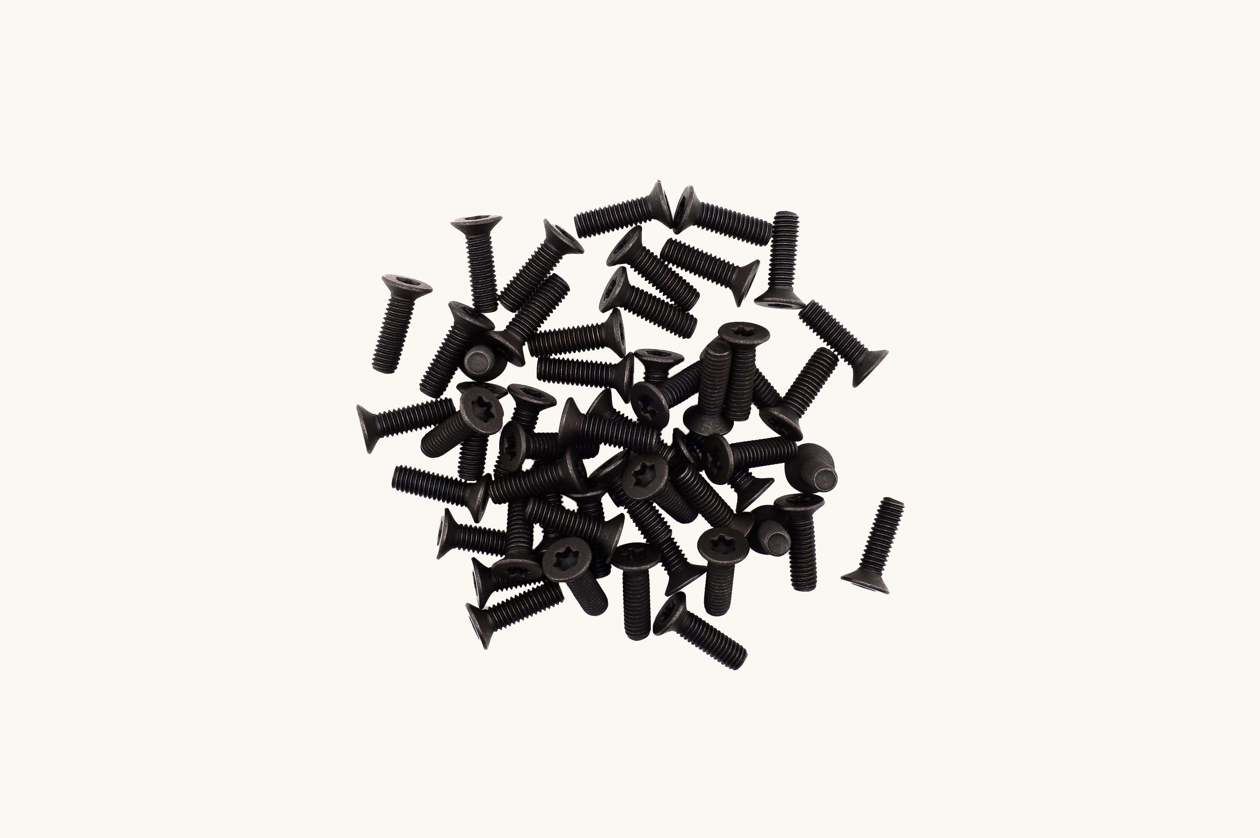 VanEssential Venture L-Track M6 Machine Screws