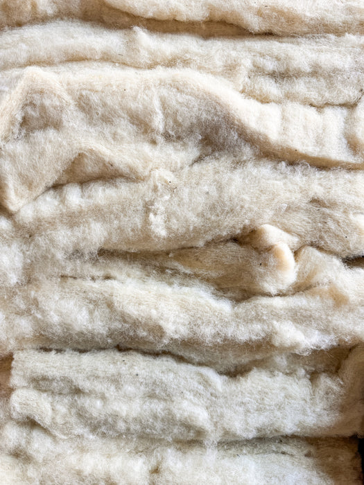 Wool Batts 100 SqFt