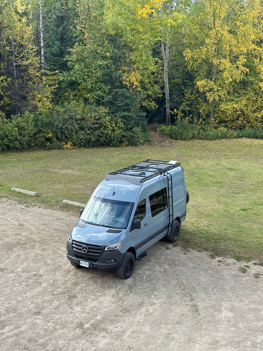 Sprinter two-in-one tire ladder carrier