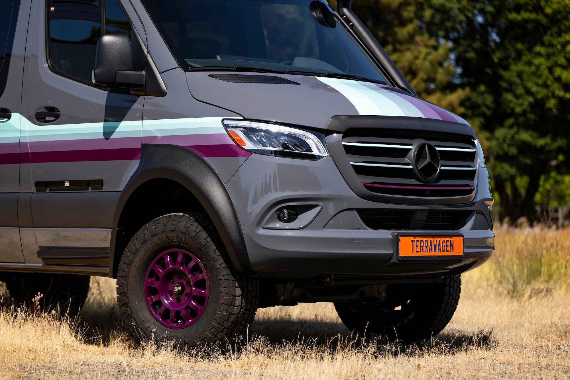 Terrawagen Black Front Emblem Sprinter 907