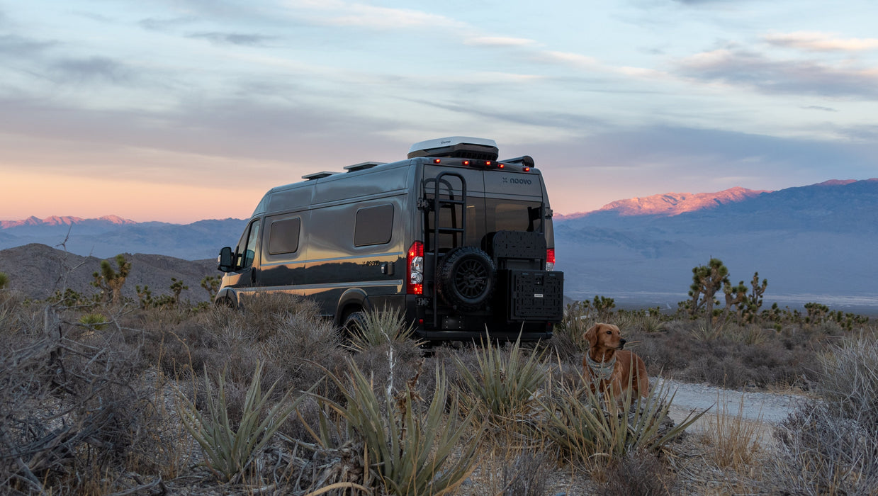 Rover Vans Tire Carrier & Ladder Combo for Ram ProMaster - Drill Through Version
