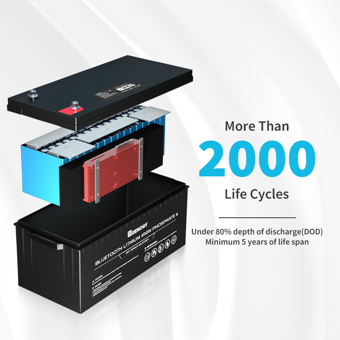 Renogy 12V 200Ah Lithium Iron Phosphate Battery w/ Bluetooth