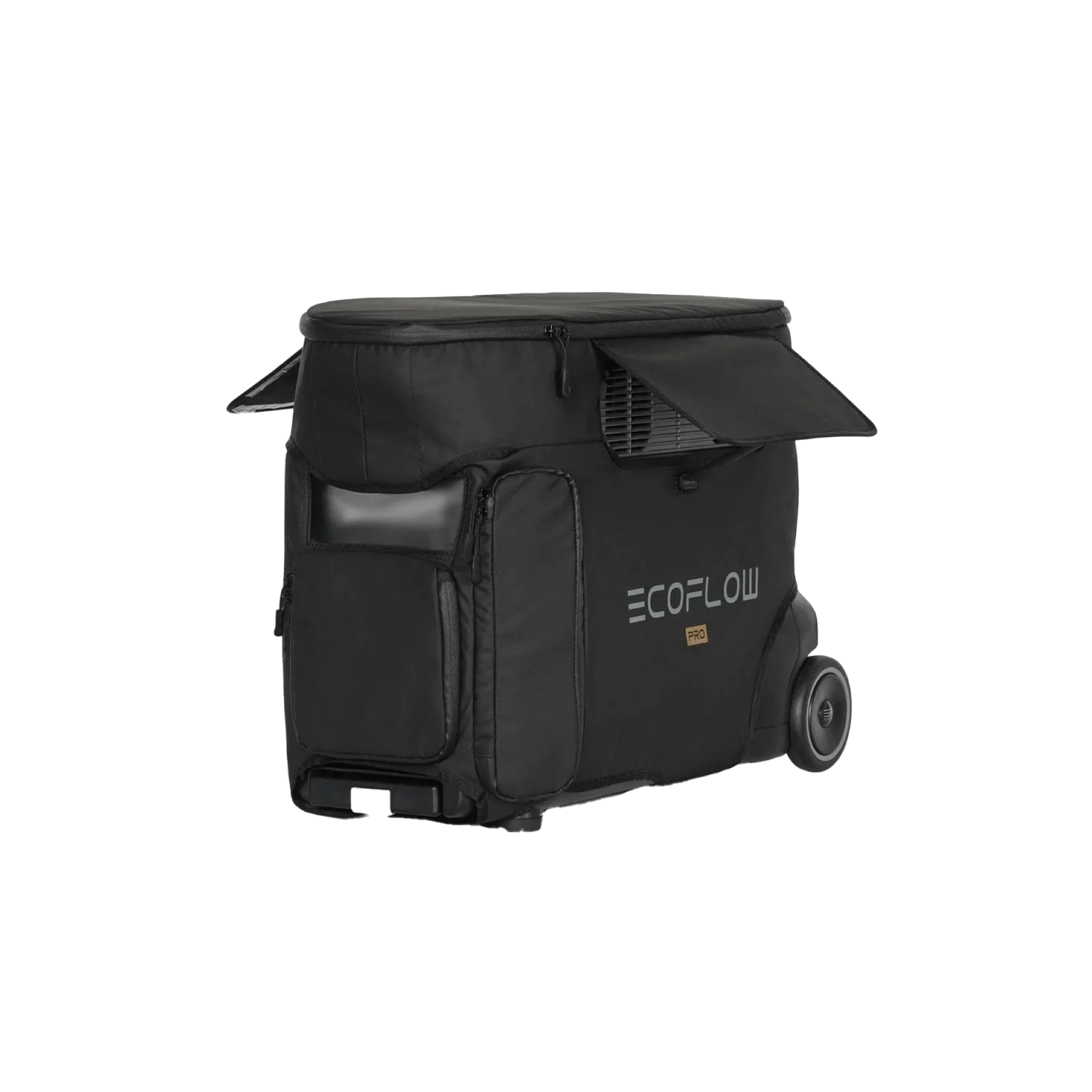 EcoFlow DELTA Pro Bag