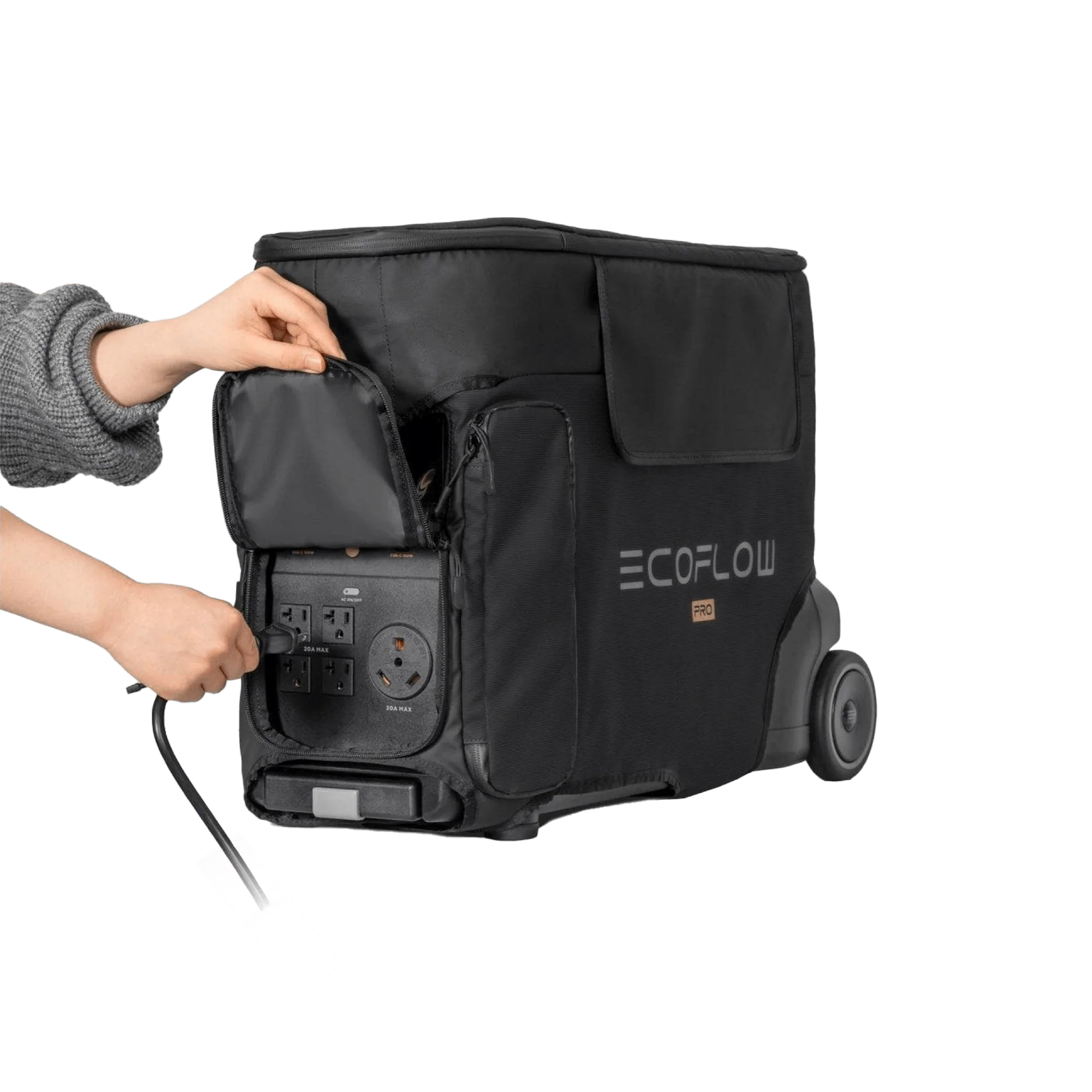 EcoFlow DELTA Pro Bag