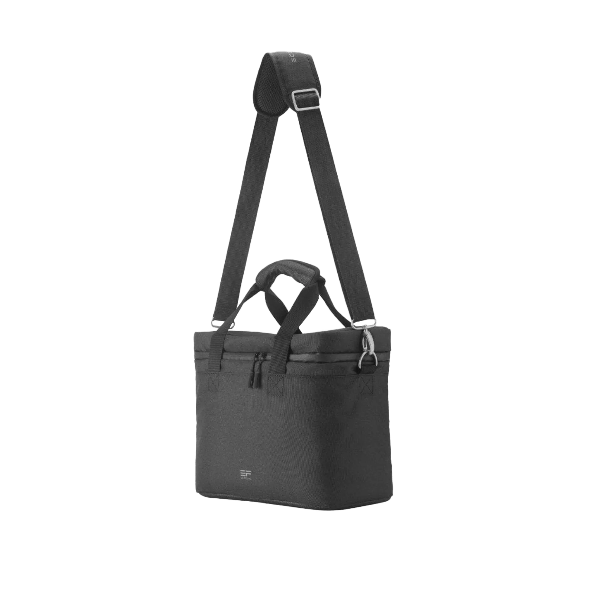 EcoFlow RIVER Bag Van Land